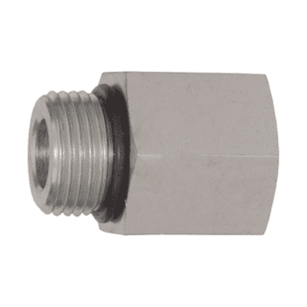 Adaptador Hidráulico Serie 6405 - Macho SAE O-Ring x Hembra NPTF — render Dixon