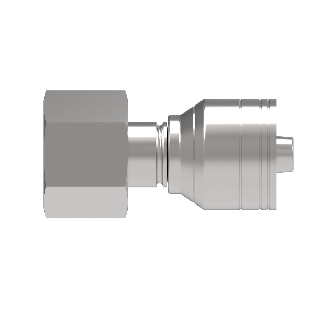 Recta — Hose Fittings 1A10DS6 (CENTER)