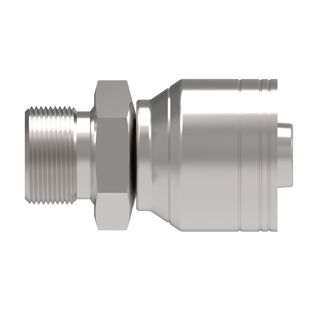 Recta — Hose Fittings 1A10BP10 [CENTER]
